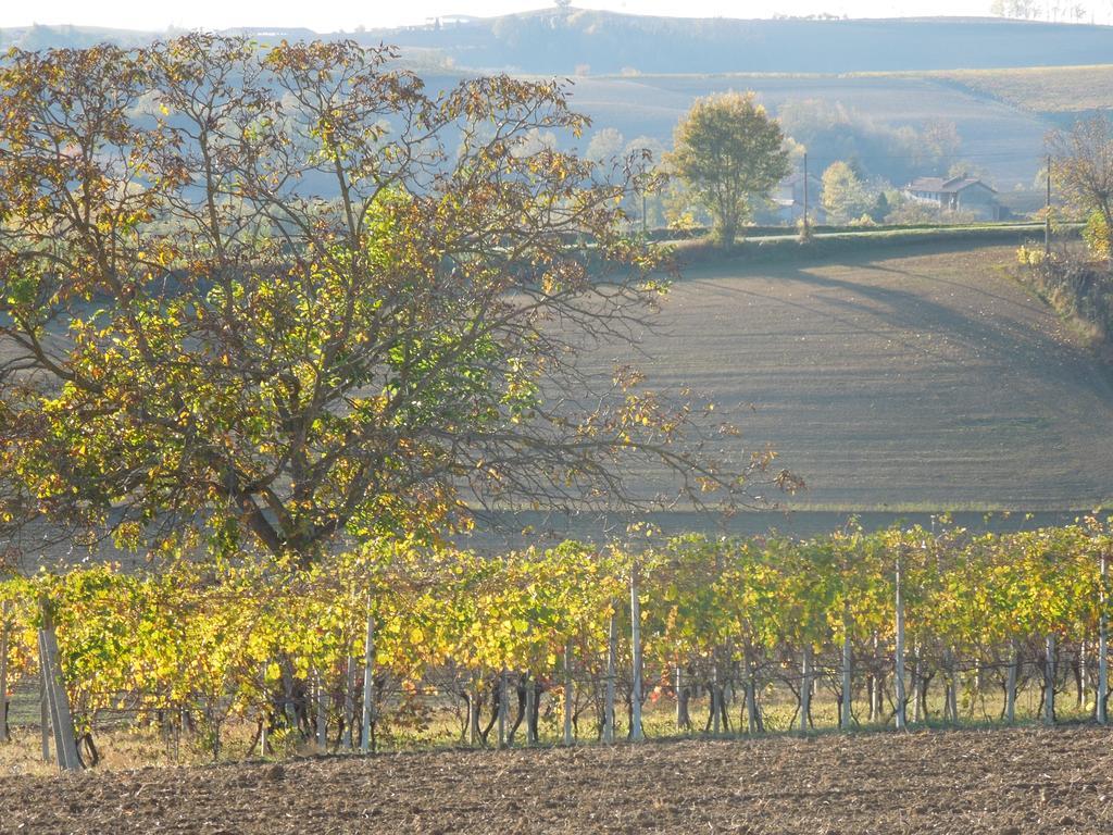 Casa Rovelli Bed & Breakfast Alfiano Natta ภายนอก รูปภาพ